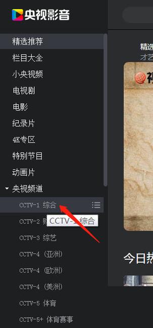 网络电视怎么收看央视游戏截图