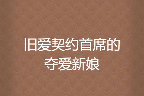 首席的夺爱新娘全文免费阅读缩略图