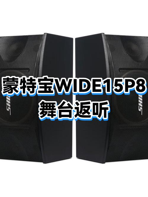 舞台音箱和返听音箱区别缩略图