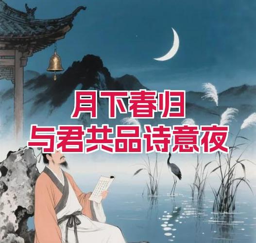 月下君归 小说