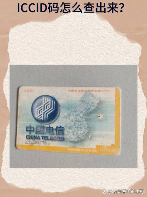 中国电信iccid查询卡号游戏截图