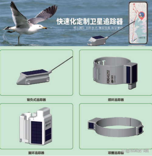 今日头条上删除的作品怎么再找到截图