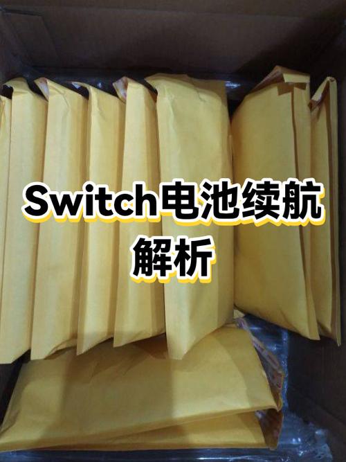 switch2电池多少毫安