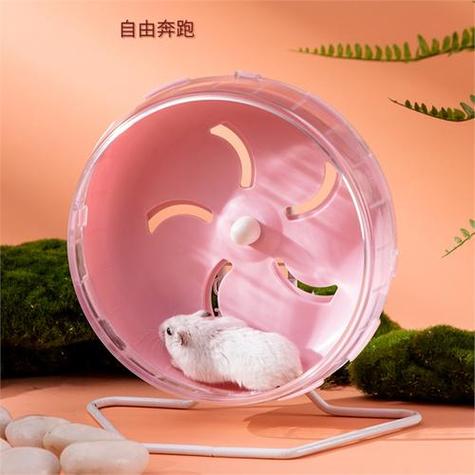 仓鼠可以拿着玩吗缩略图
