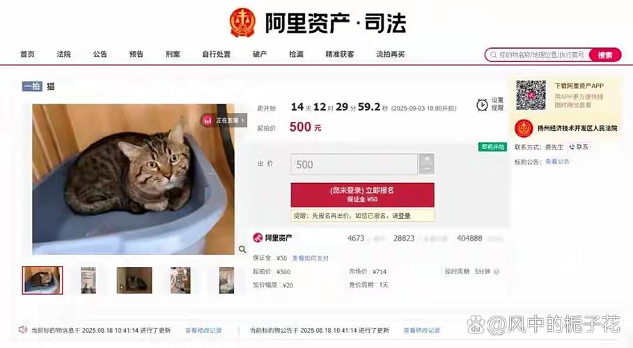 法拍网有哪些平台截图