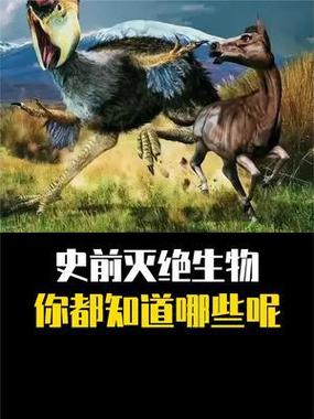 mc清除所有生物指令