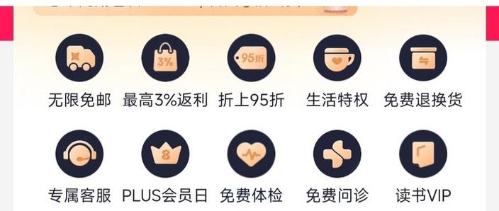 京东plus会员年费图标