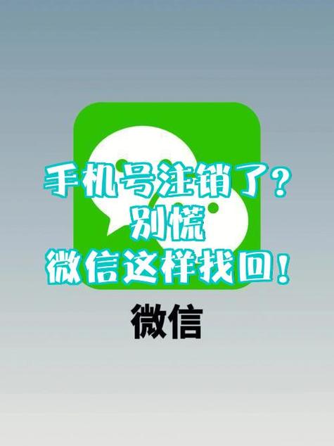 微信号怎么申诉找回来截图