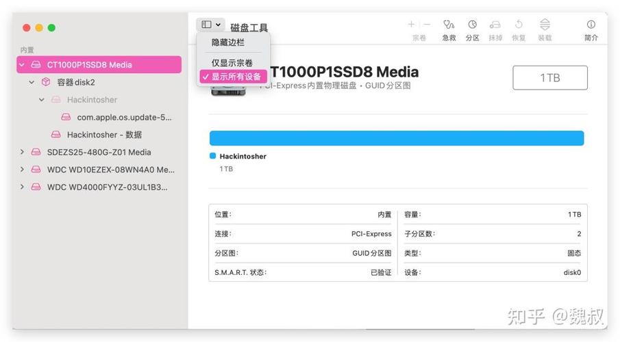 u盘插上显示EFI缩略图
