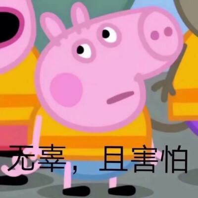 最近很火的猪表情包缩略图