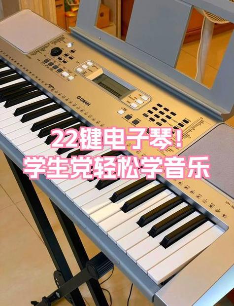 电子琴长期不用会坏吗缩略图