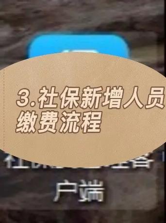 河北社保怎么自己缴费