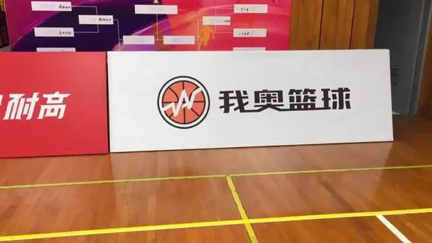 我奥篮球图标