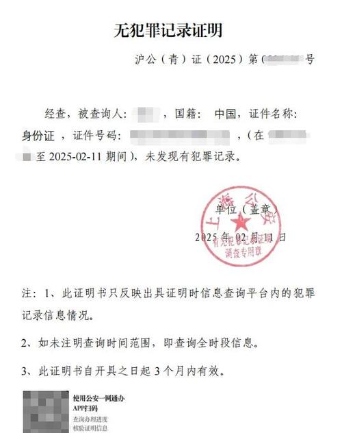 河南电子版无犯罪记录证明怎么开图标