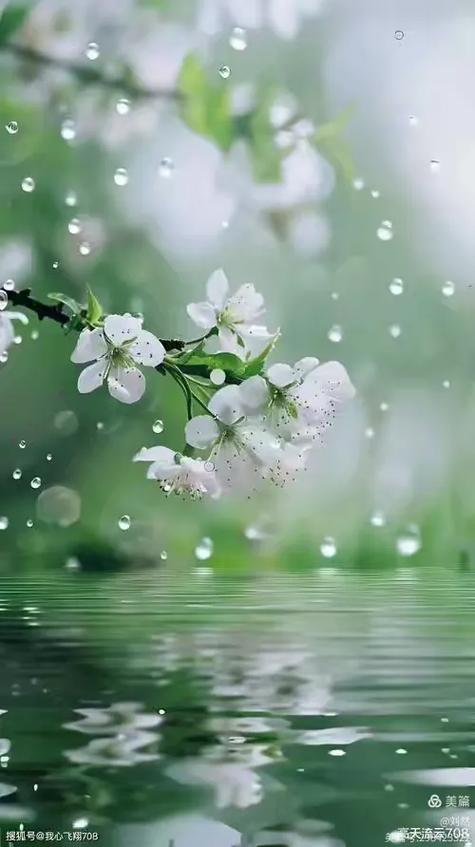 下小雨的优美句子截图