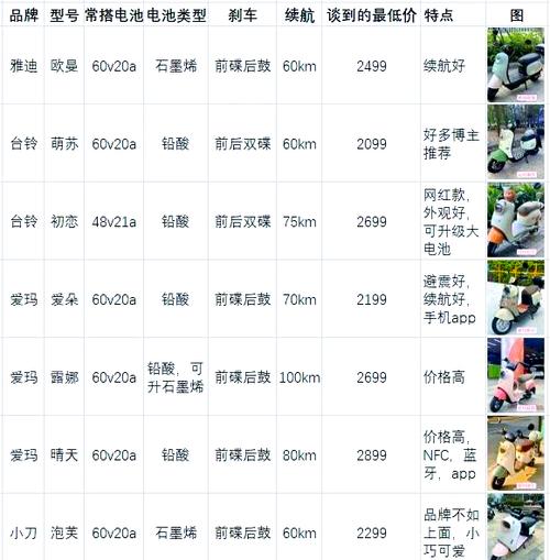 纯电车哪个牌子最好质量最好