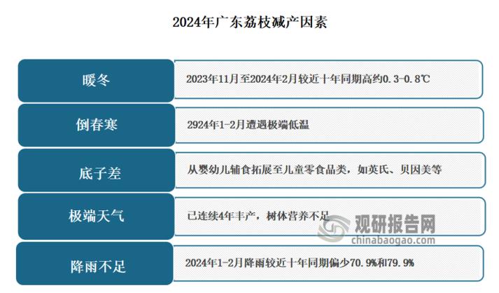十亩荔枝一般一年收入多少