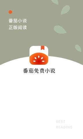 翻茄小说赚钱下载缩略图