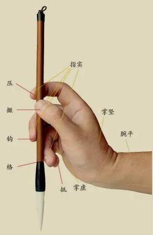 手握笔的正确姿势