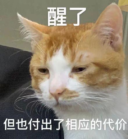 有人拿照片做表情包的后果截图