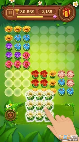 花园红包版下载截图