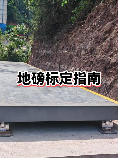 地磅品牌前十名