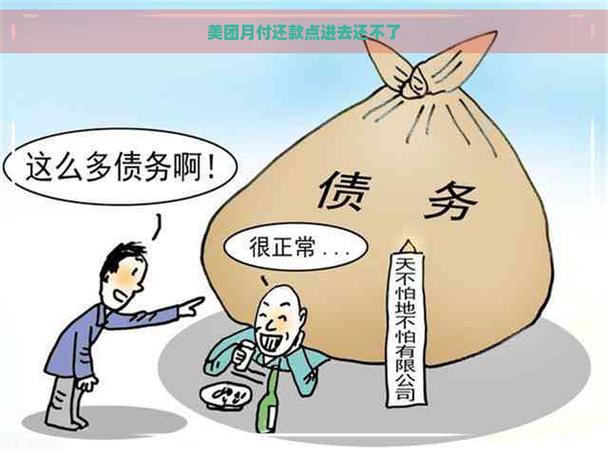 美团月付还款点不了
