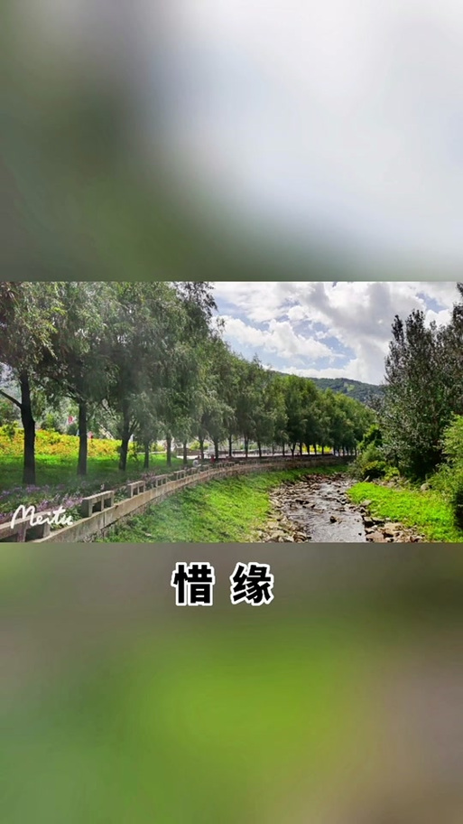 惜缘的绝美佳句游戏截图