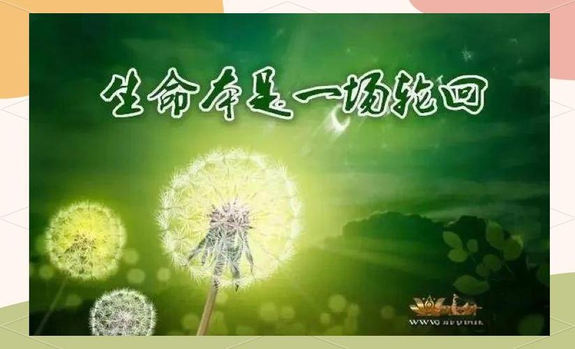 死亡计算器,寿命计算器