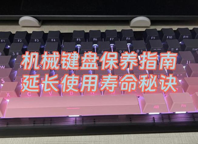 键盘寿命的计算方法缩略图