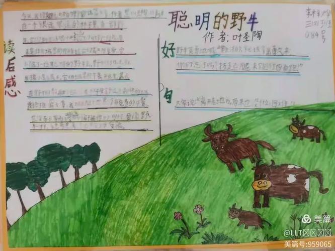 野牛阅读纯净版缩略图