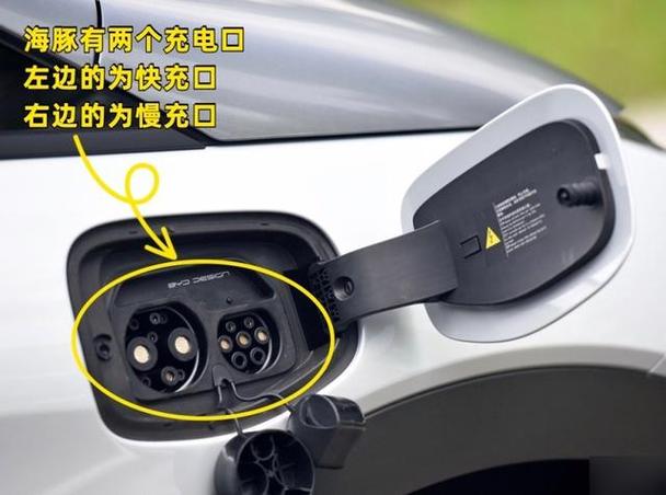 海豚的车载充电口在哪截图