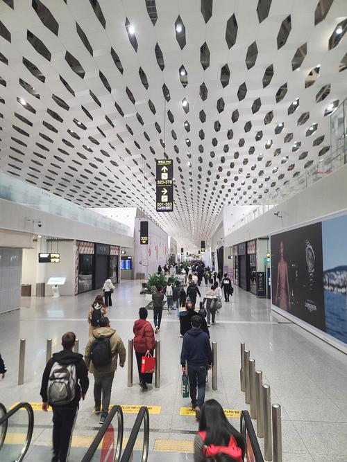 深圳航空官网登录入口游戏截图