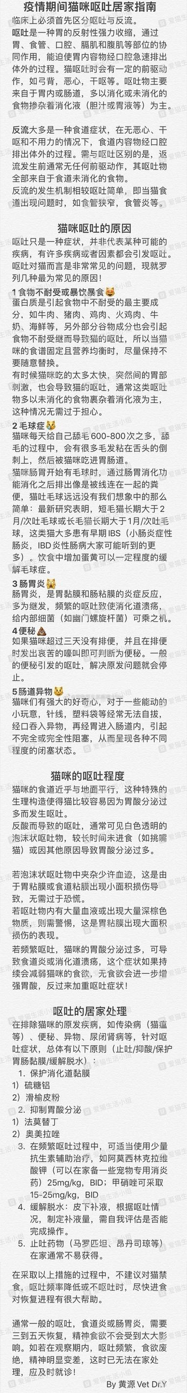 猫不吃不喝几天能饿死缩略图