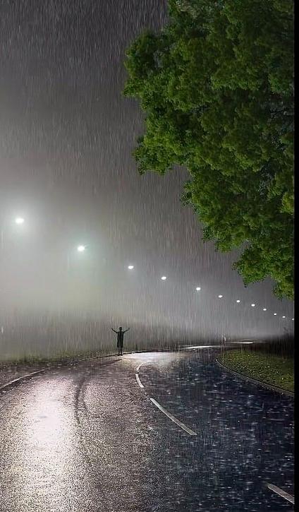 前路漫漫雨纷纷歌词缩略图