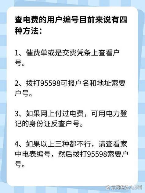 95598查询电费户号