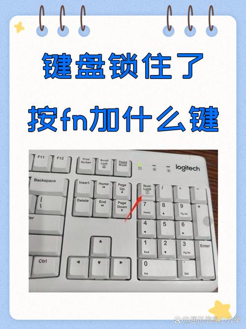 狼蛛键盘锁住了打不了字截图