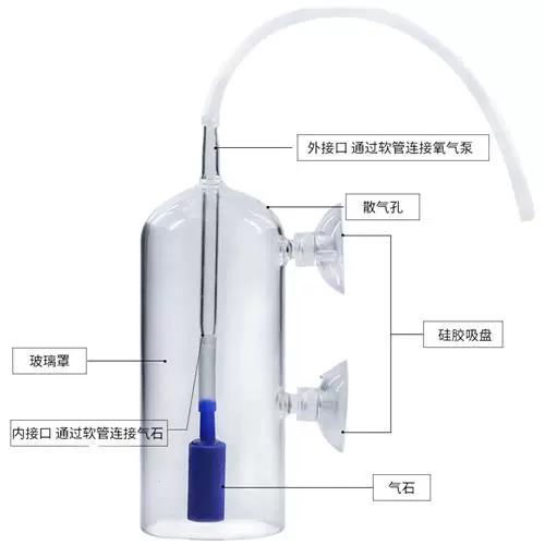 鱼缸氧气泵溅水小妙招缩略图