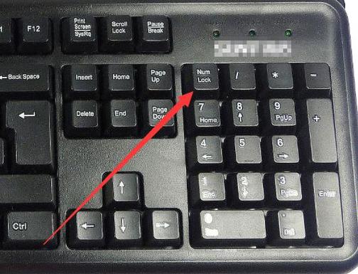 键盘数字键打不出来