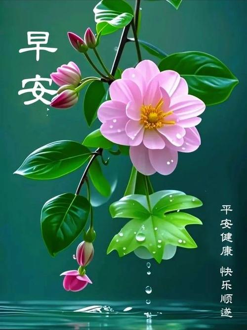 女人说我生病了最好的回答缩略图