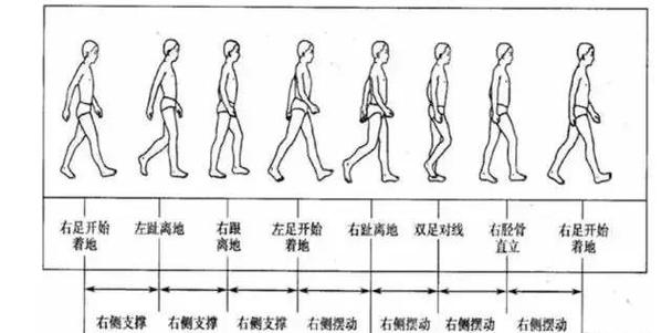 大步走路和小步走路图标