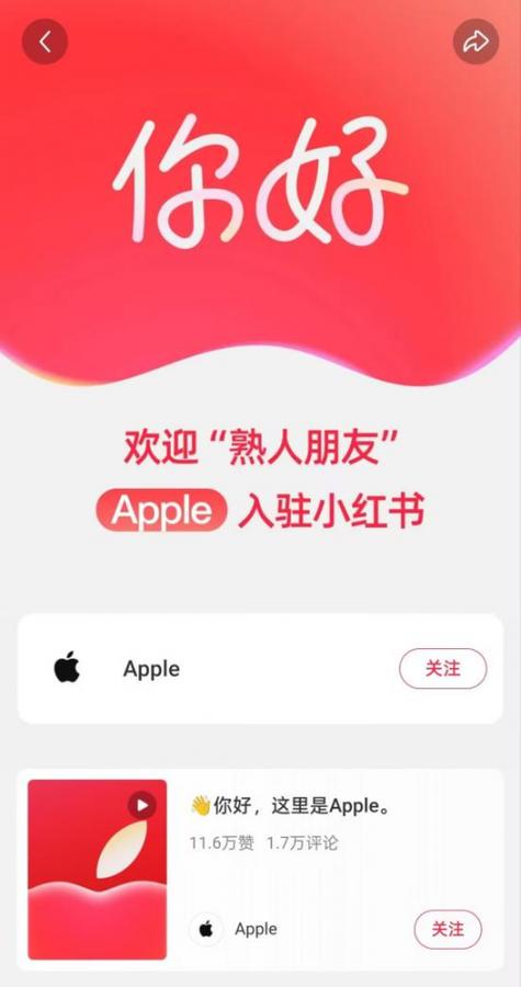 小红书商家入驻流程