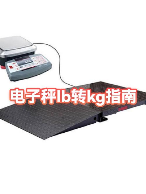 电子秤买什么牌子好