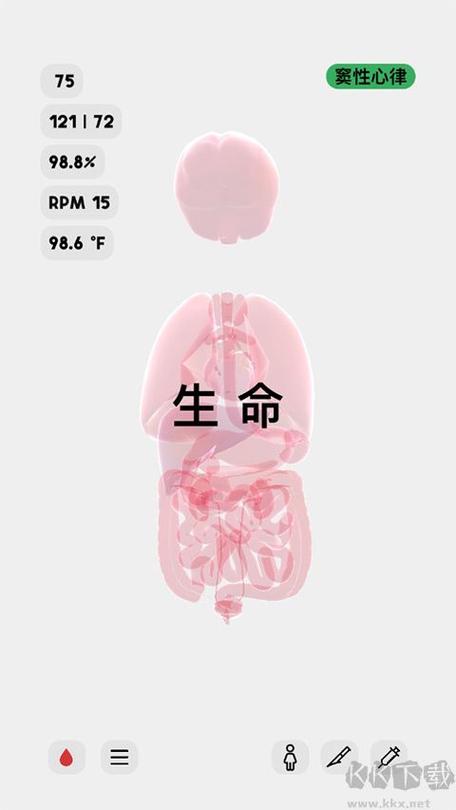 生命人体模拟器下载