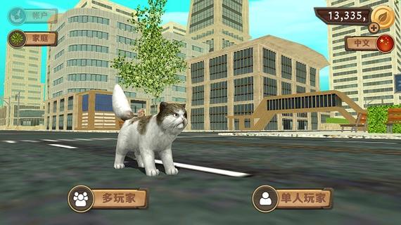 猫咪生存模拟器最新版下载图标