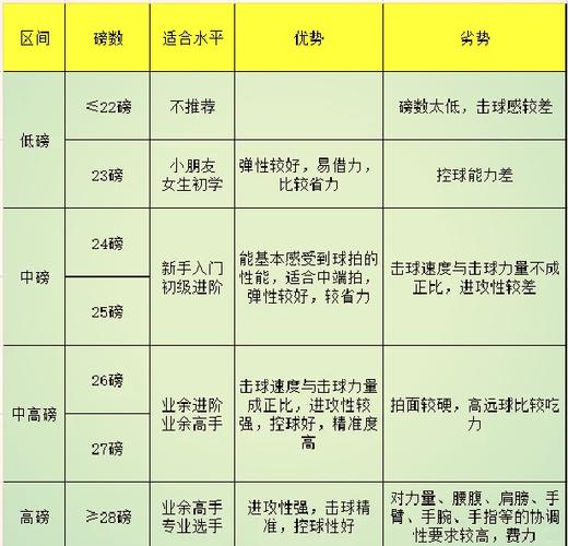 羽毛球拍几磅是啥意思