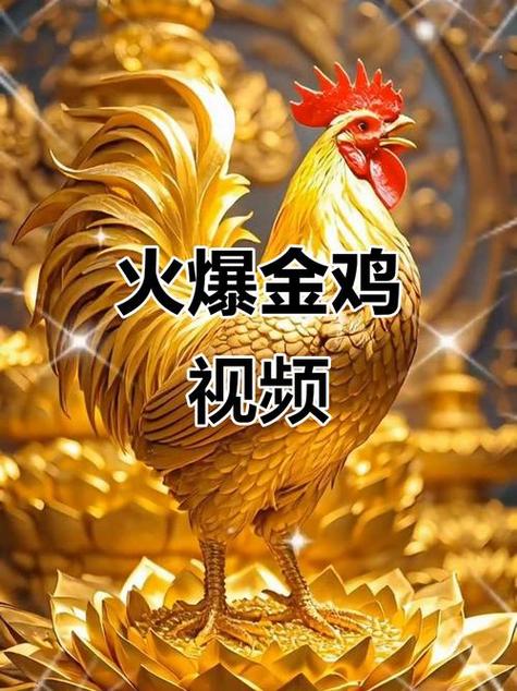 金鸡短视频版本大全