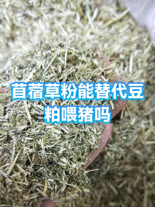 一斤苜蓿草含多少蛋白图标