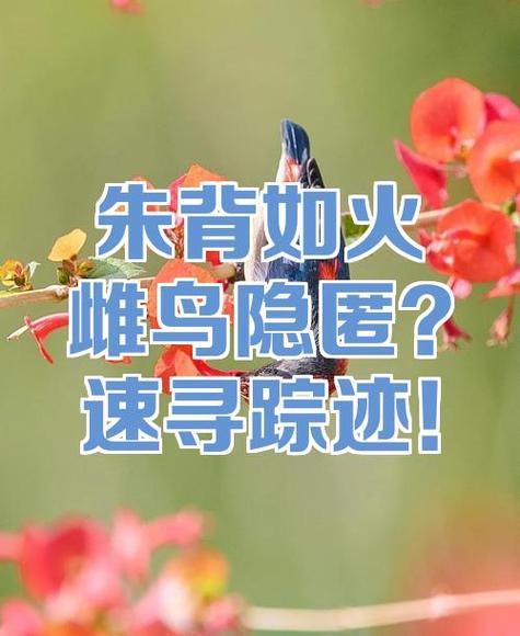 知道一个人的qq昵称就是查不到图标