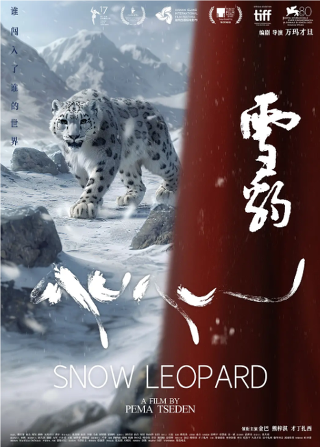 雪豹影视缩略图